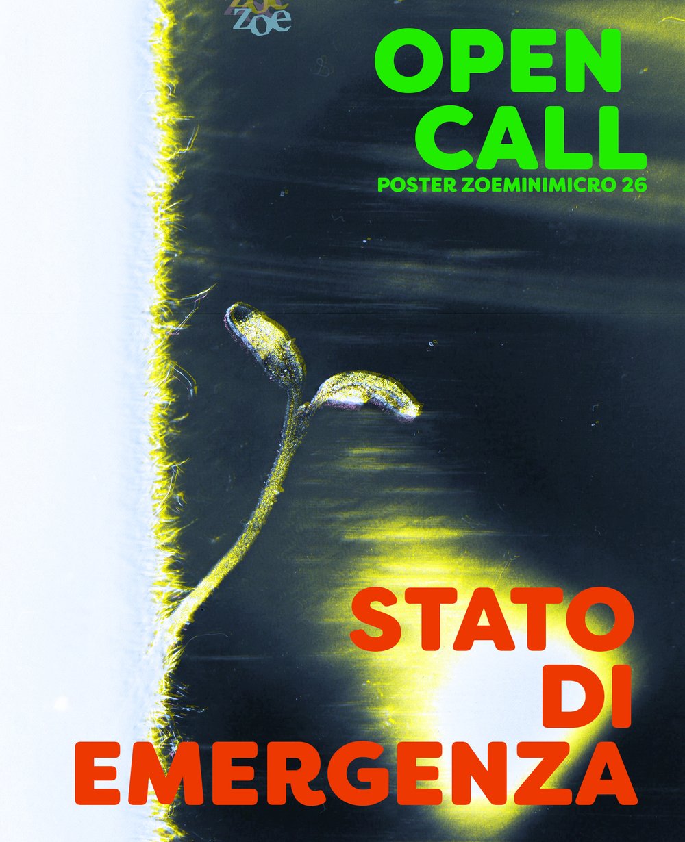 Abstract emergenza